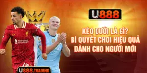 Kèo Dưới Là Gì? Bí Quyết Chơi Hiệu Quả Dành Cho Người Mới